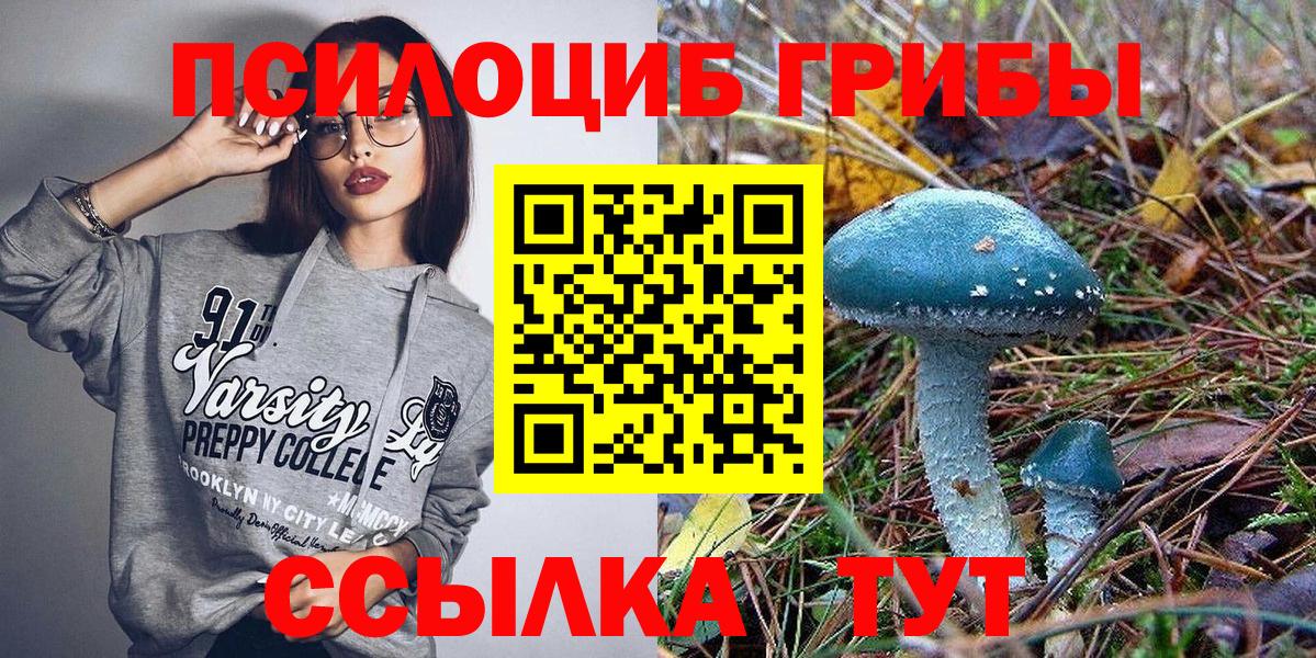 Галлюциногенные грибы мицелий  Псилоцибиновые грибы ЛСД  Балашиха  Вход с VPN 