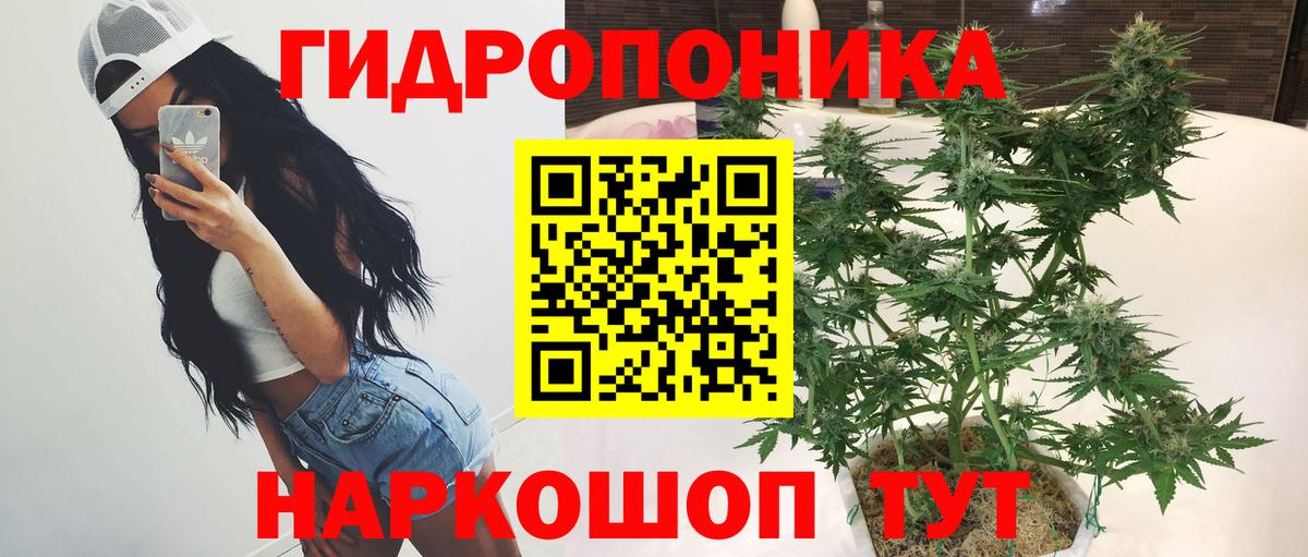 Бошки марихуана семена Балашиха